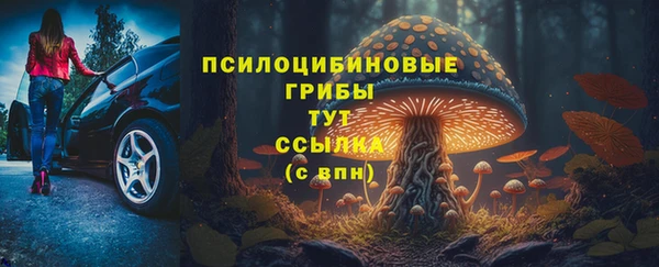 дживик Баксан