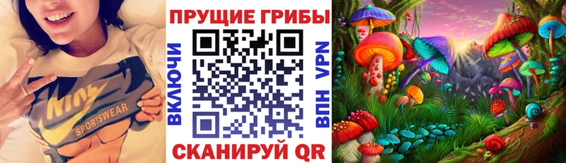 блэк спрут сайт как найти наркотики Урай Галлюциногенные грибы Psilocybine cubensis